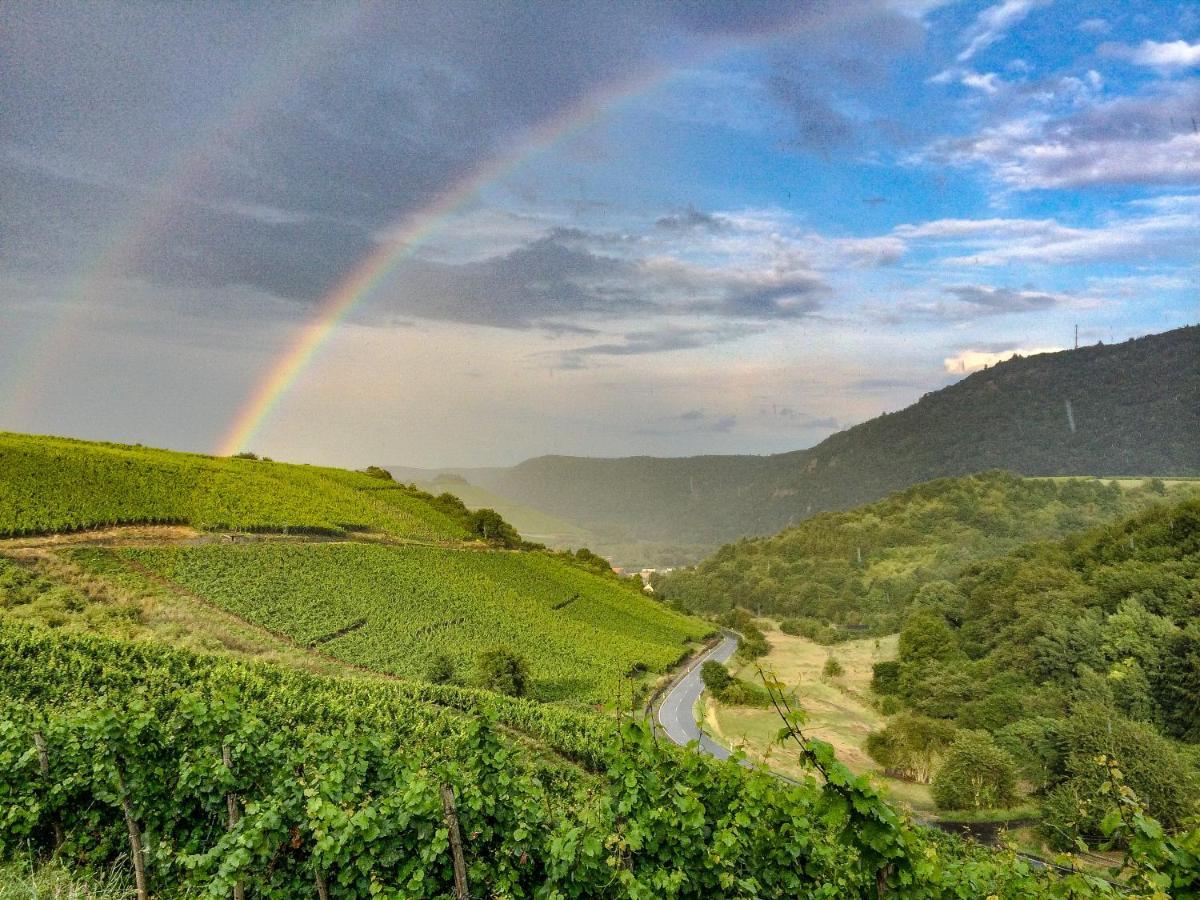 Oberhausen an der Nahe Winetime 아파트 외부 사진