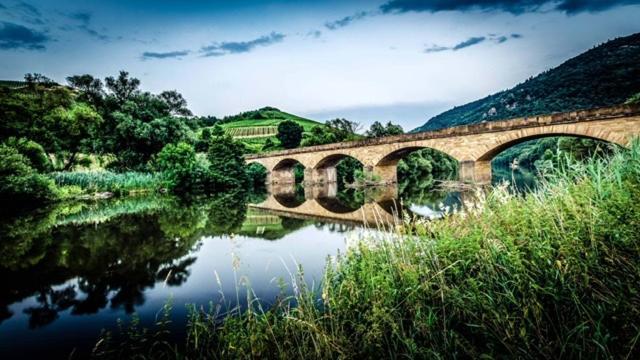 Oberhausen an der Nahe Winetime 아파트 외부 사진